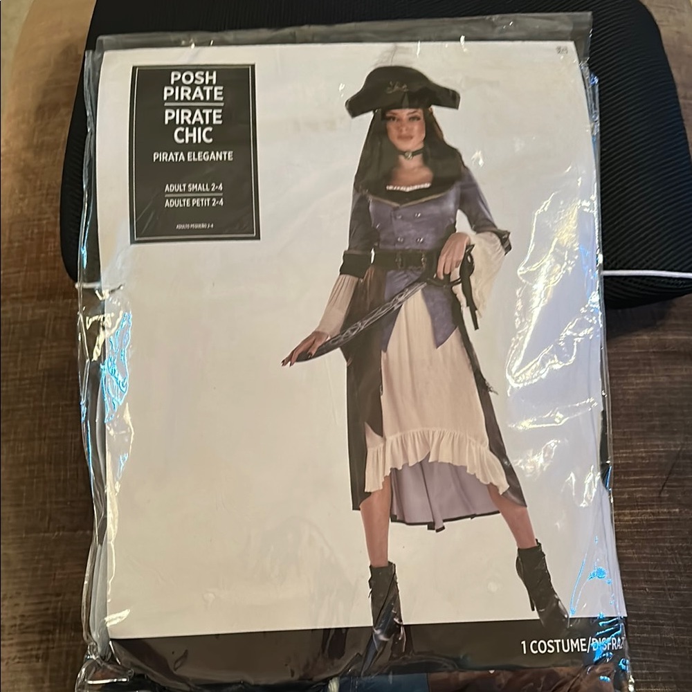 Posh Pirate / Pirate Chic Costume